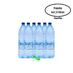 Eau minérale naturelle Source Tangui – Palette de 6 bouteilles x 1,5 litres