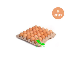 Alvéole 30 moyens oeufs frais