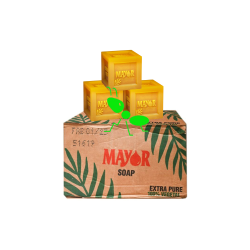 Savon de ménage Mayor Carton 60 x 350 grammes