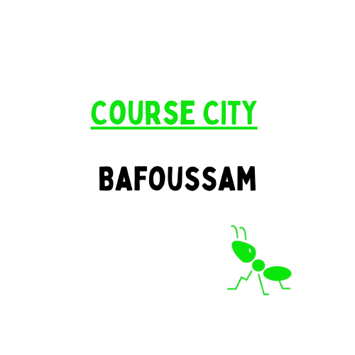 Course ponctuelle à Bafoussam