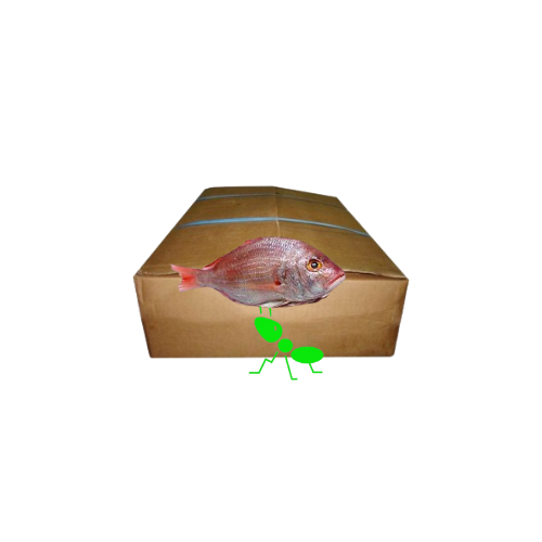 Carton carpe rouge 10 kilos