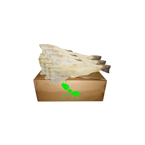 Carton morue salée SiemPoo.com